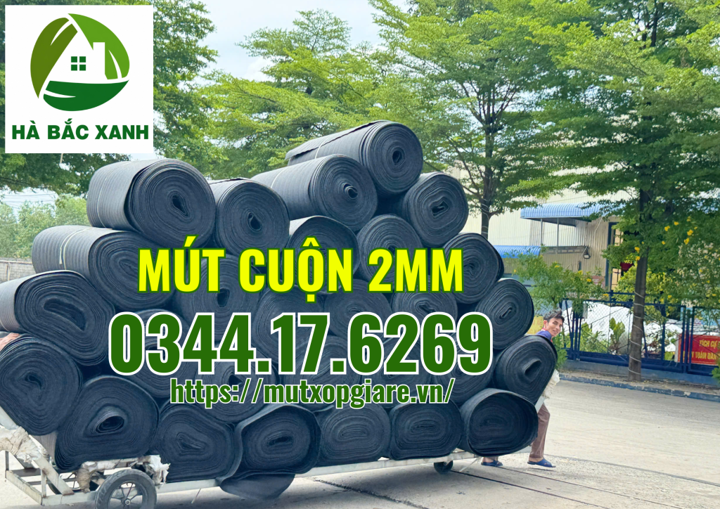 mut-cuon-2mm