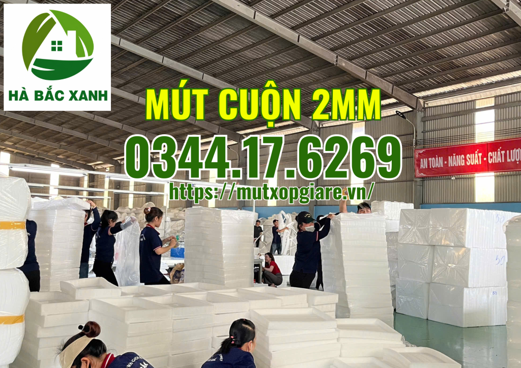 mut-cuon-2mm