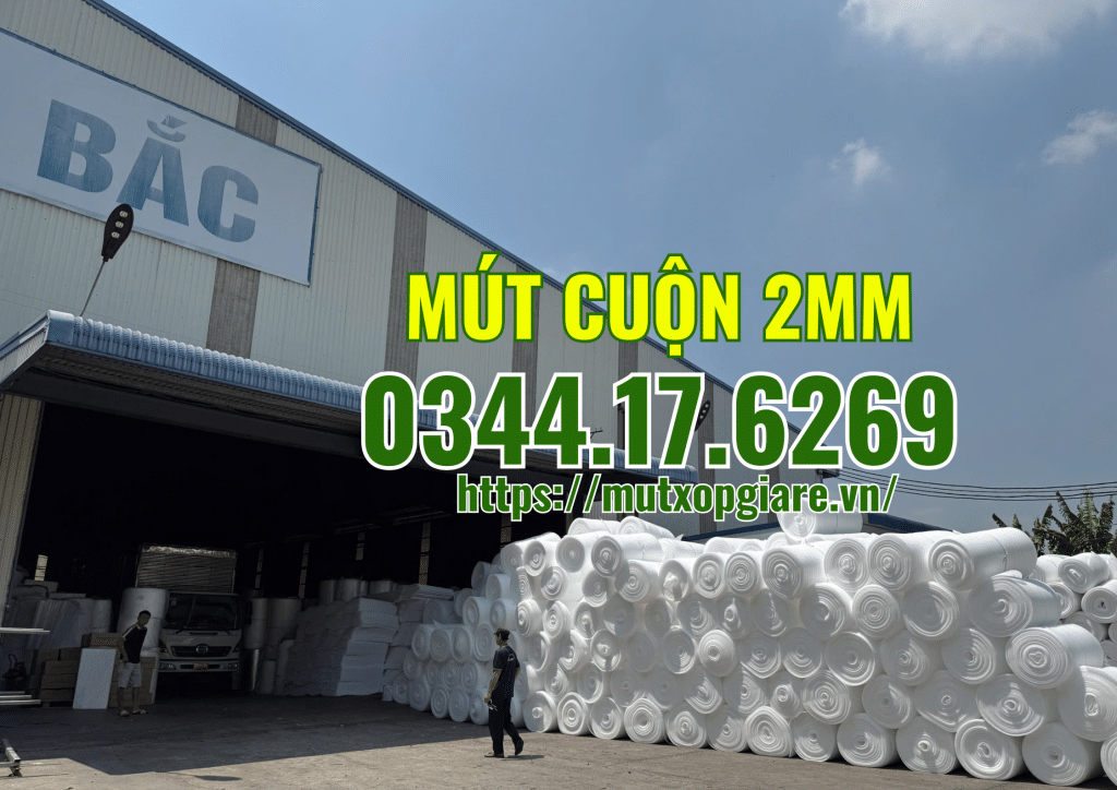 mut-cuon-2mm