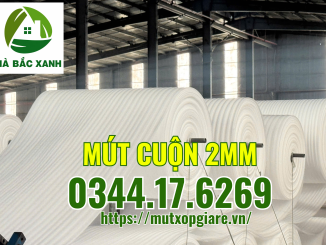 mut-cuon-2mm