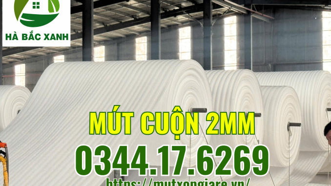 mut-cuon-2mm