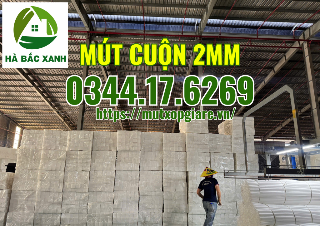 mut-cuon-2mm