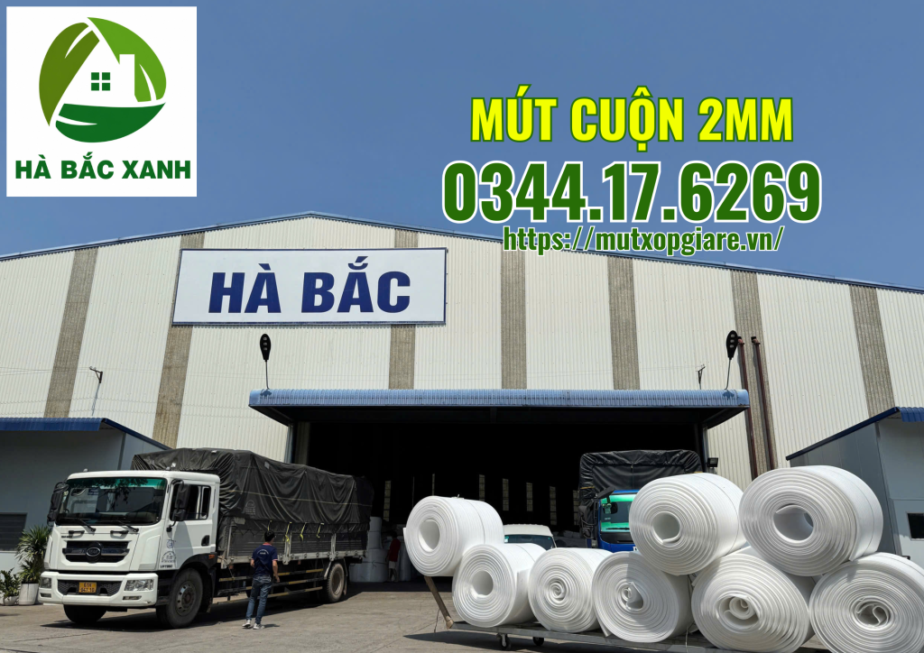 mut-cuon-2mm