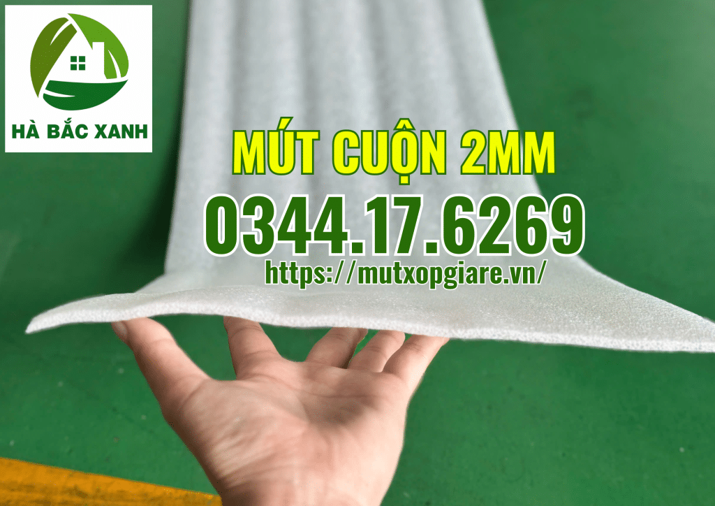 mut-cuon-2mm