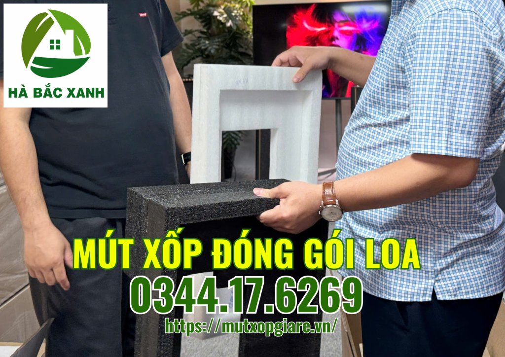 mut-xop-dong-goi-loa mut-xop-dong-goi-loa