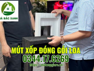 mut-xop-dong-goi-loa
