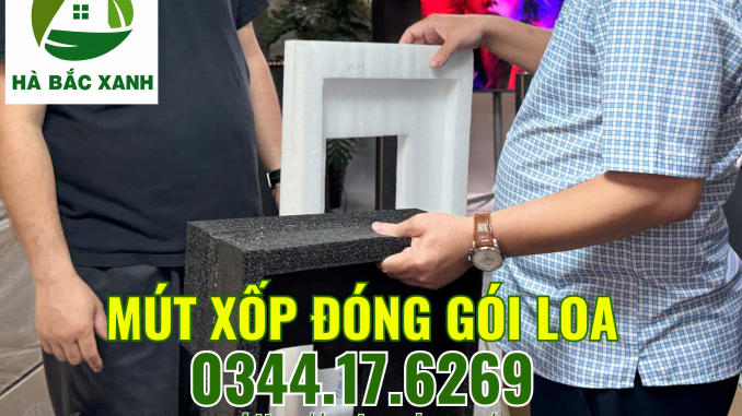 mut-xop-dong-goi-loa