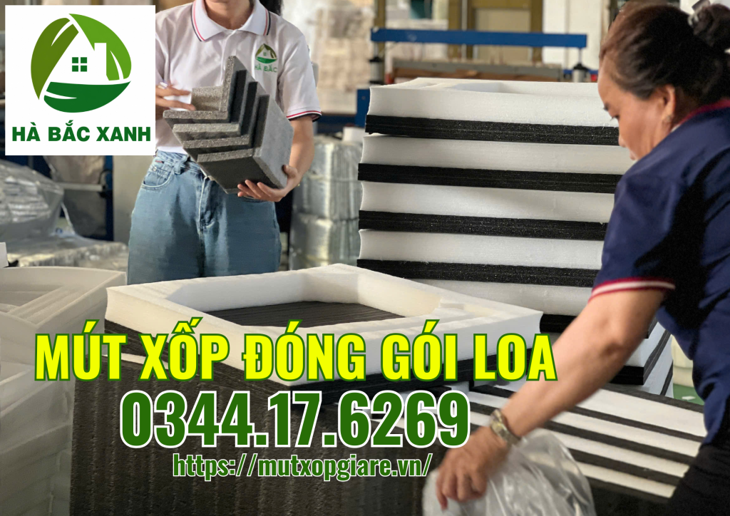 mut-xop-dong-goi-loa mut-xop-dong-goi-loa