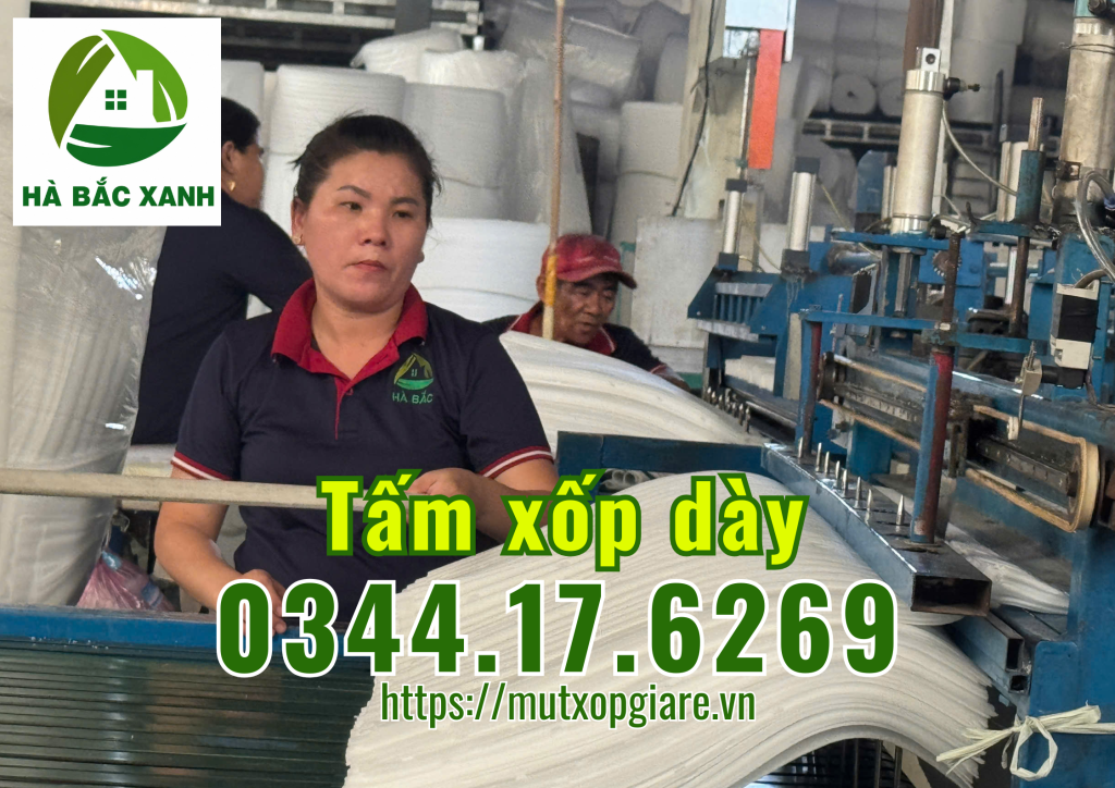 tam-xop-day-6-phan-x-1m-x-3m