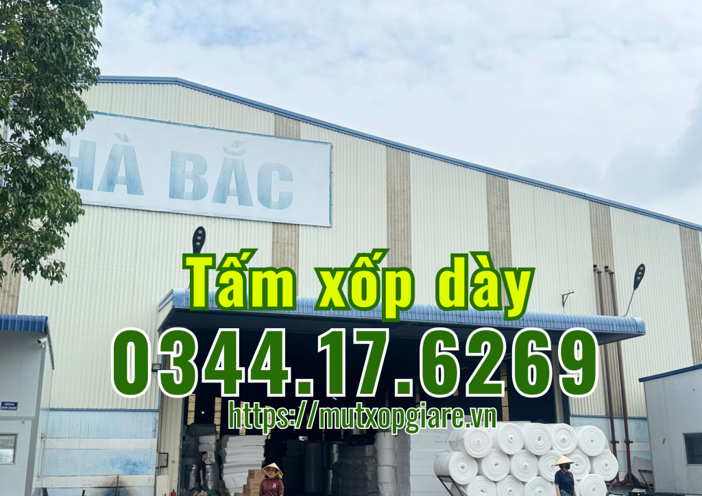 tam-xop-day-6-phan-x-1m-x-3m