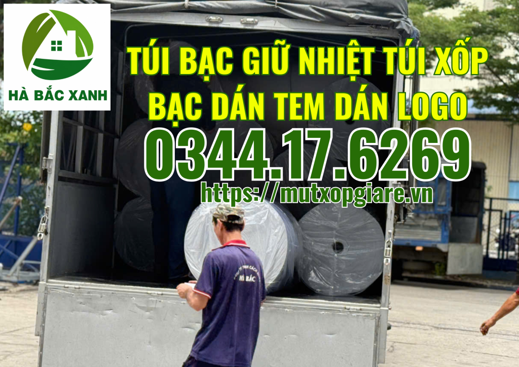 tui-bac-dan-tem-decal