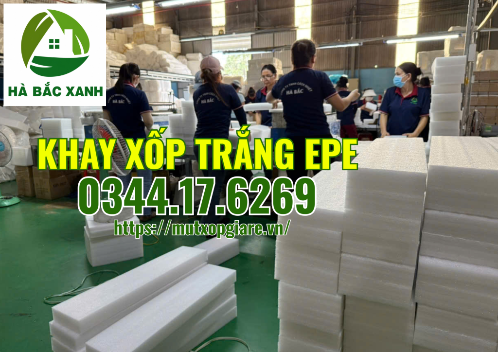 khay-xop-trang-epe