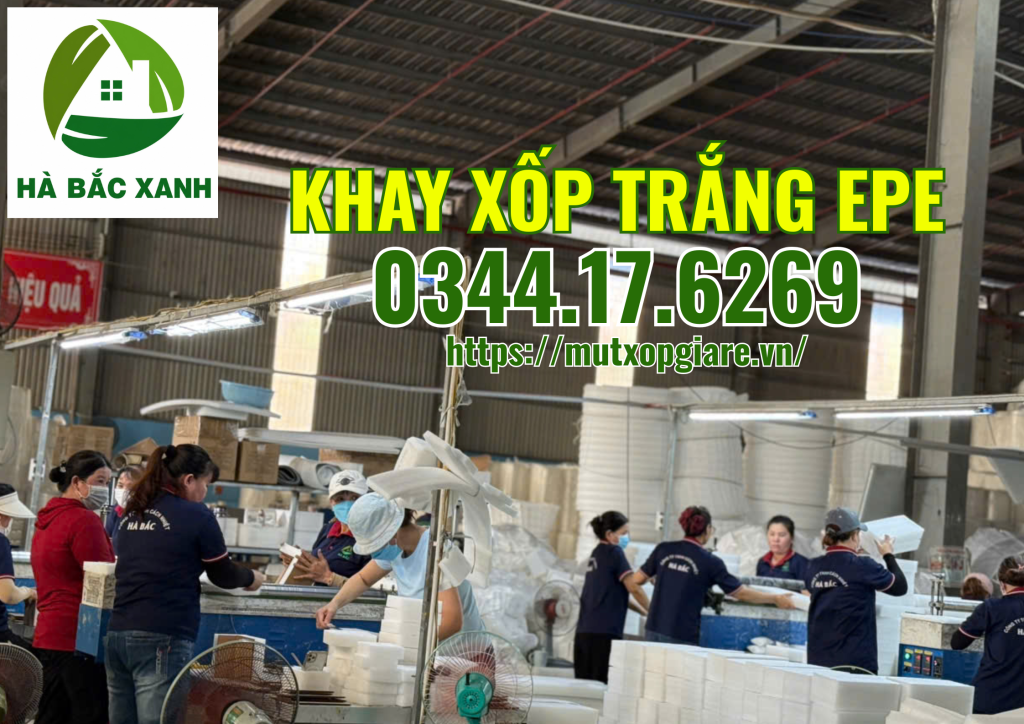 khay-xop-trang-epe