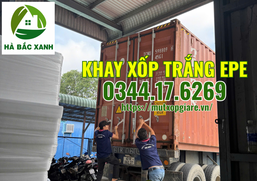 khay-xop-trang-epe