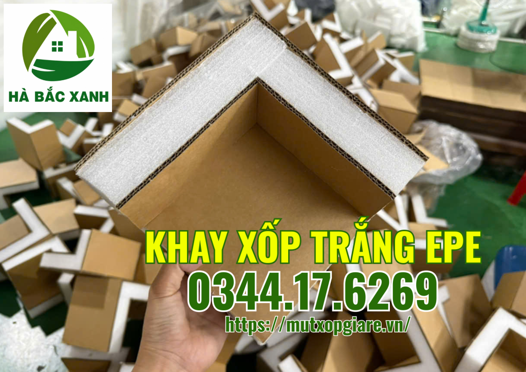khay-xop-trang-epe