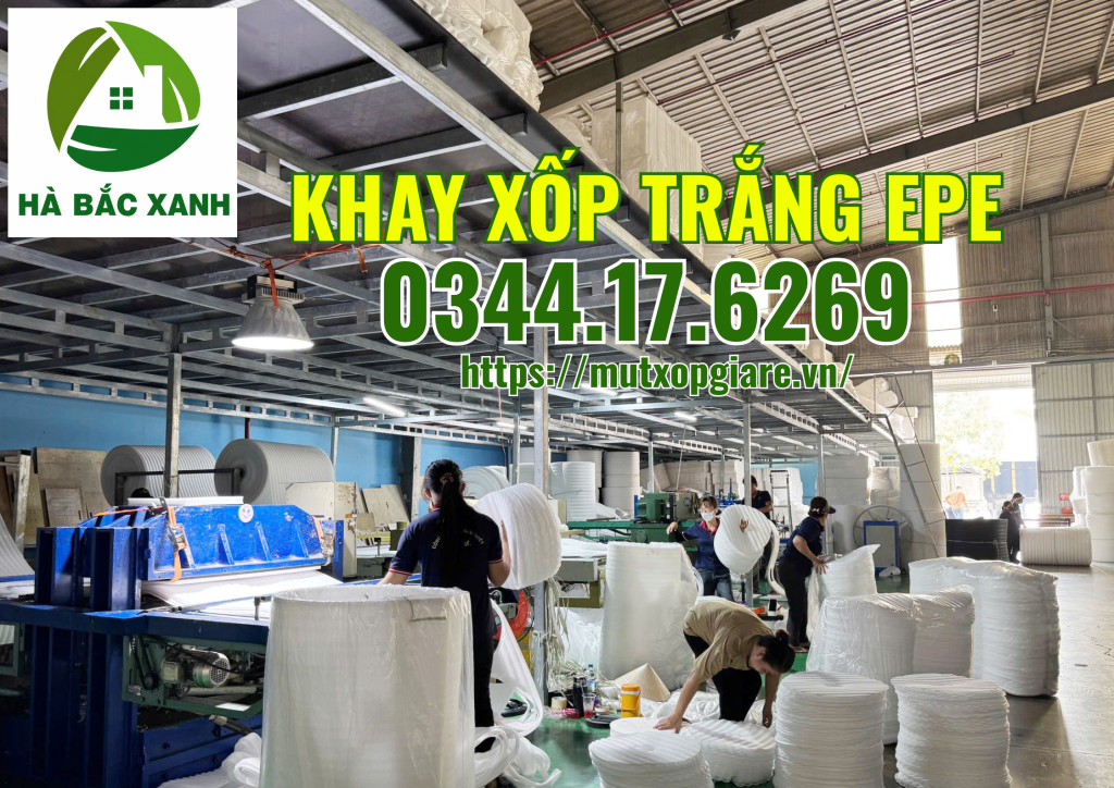 khay-xop-trang-epe