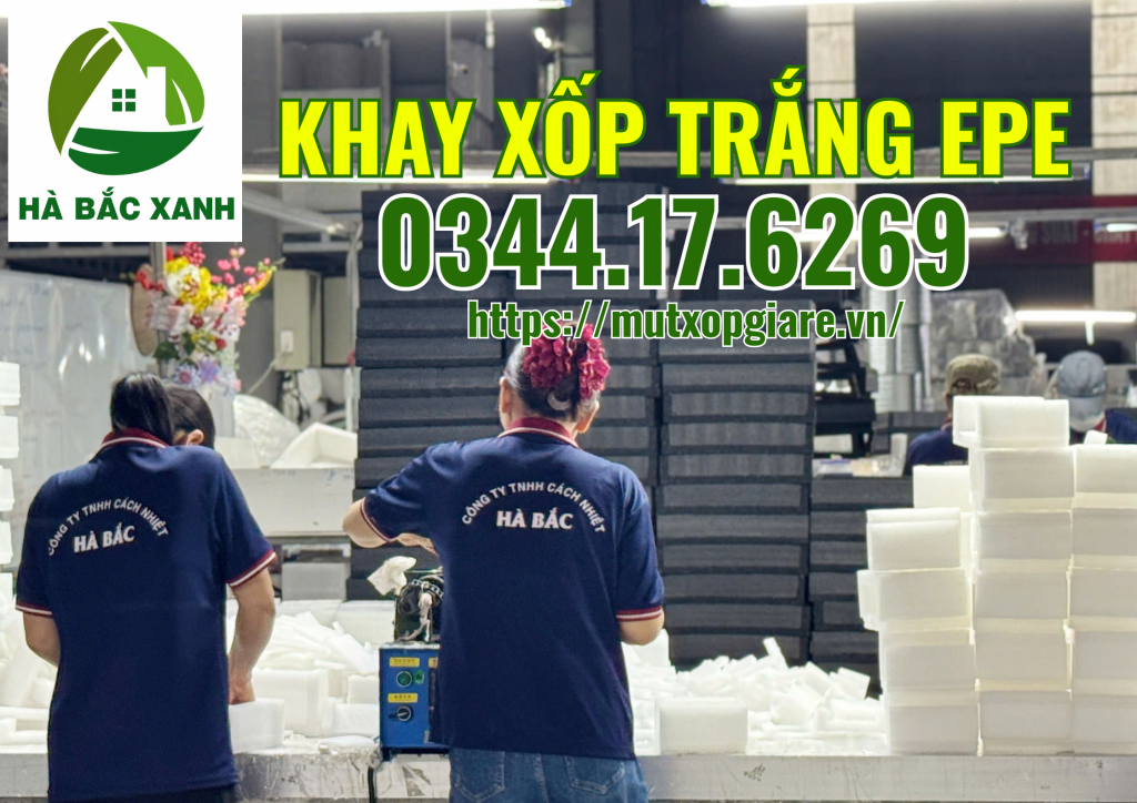khay-xop-trang-epe