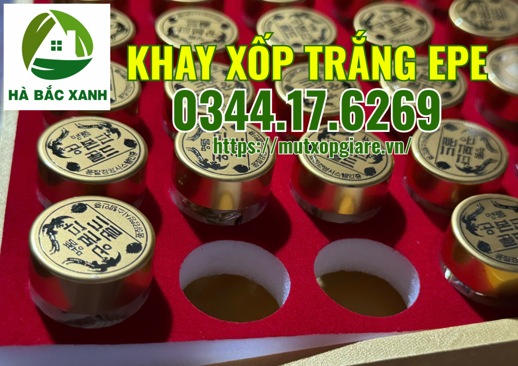 khay-xop-trang-epe
