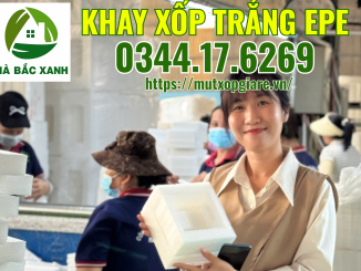 khay-xop-trang-epe