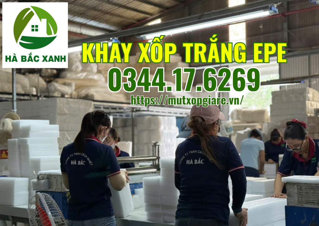 khay-xop-trang-epe