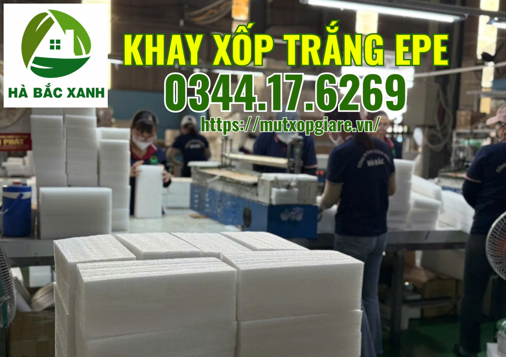 khay-xop-trang-epe