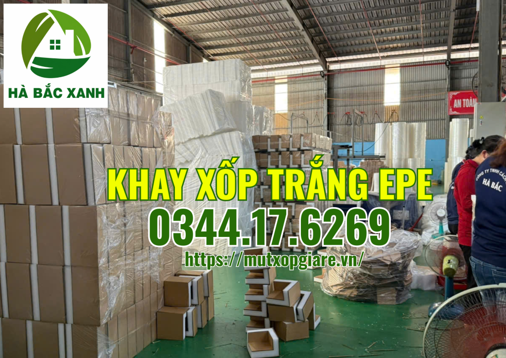 khay-xop-trang-epe