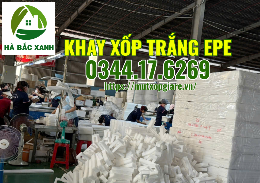 khay-xop-trang-epe