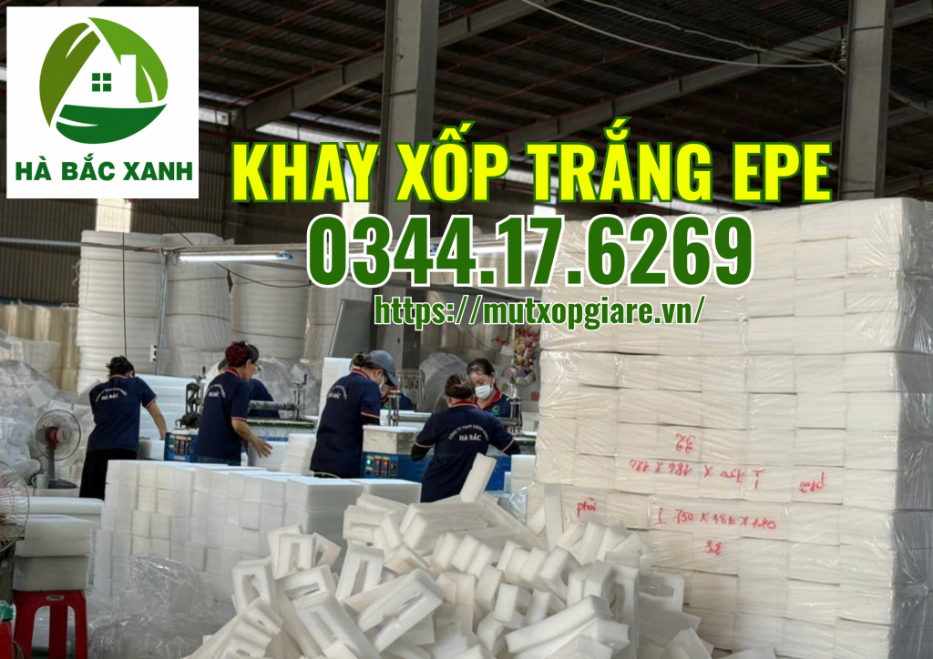 khay-xop-trang-epe