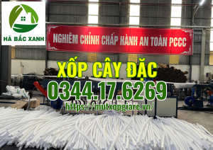 xop-cay-4cm-dac