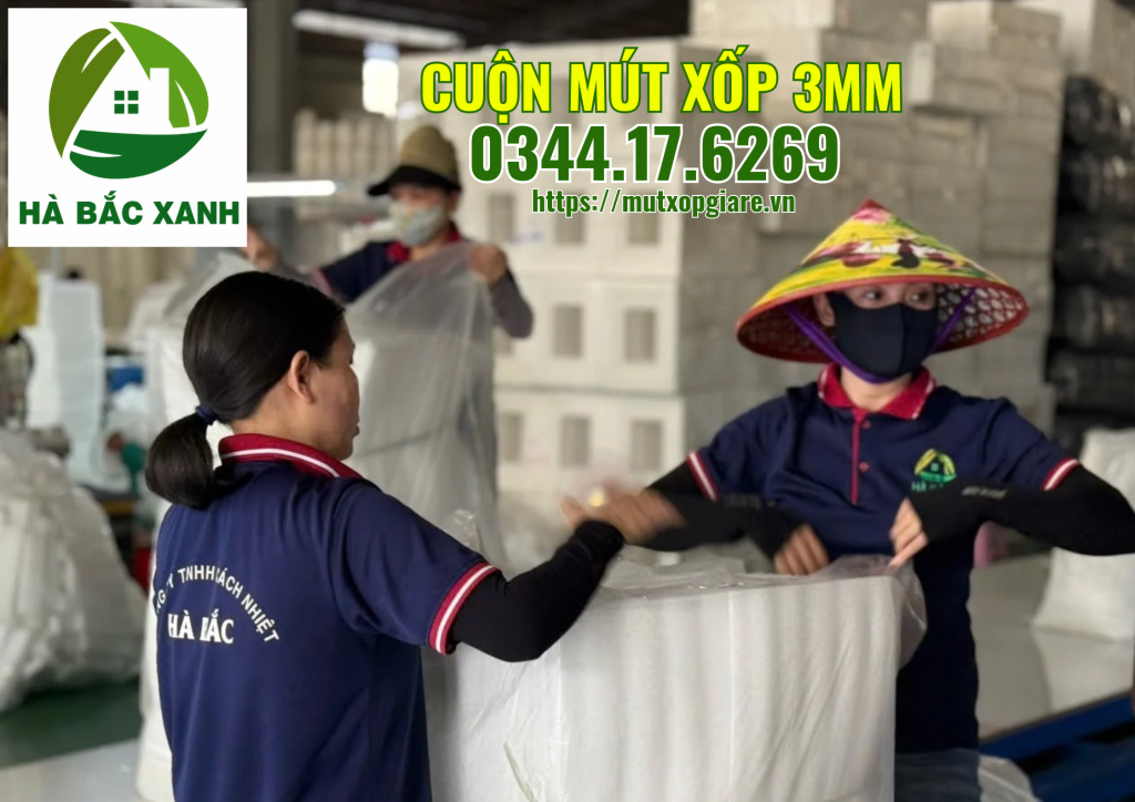 cuon-mut-xop-3mm cuon-mut-xop-3mm